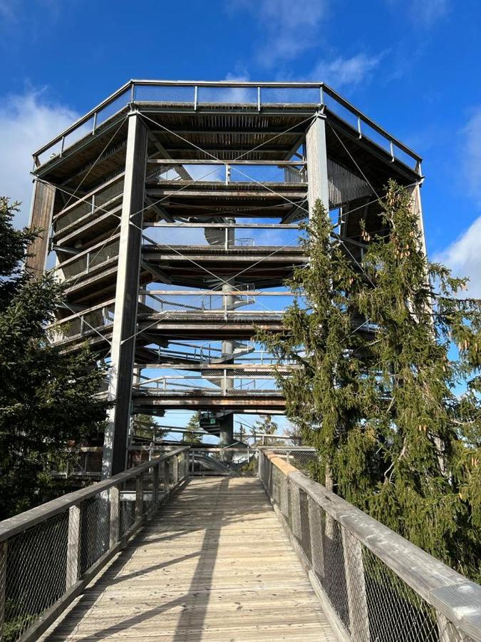 Apartament A121 Molo Lipno S Infrasaunou - Residence Koubek Lipno nad Vltavou Buitenkant foto